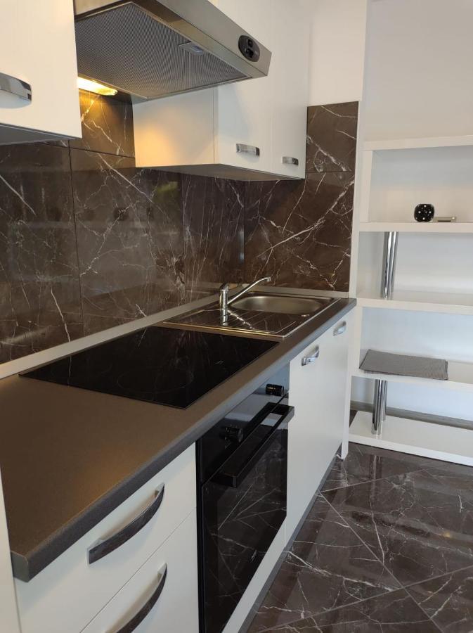 Modern Apartment Ana 로비니 외부 사진